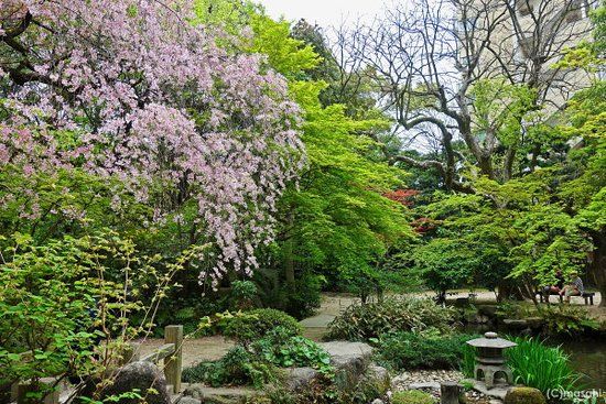 Jardins de Rakusuien